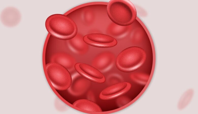 The Significance of Rare Blood Types: Availability Challenges and Impact on Patients