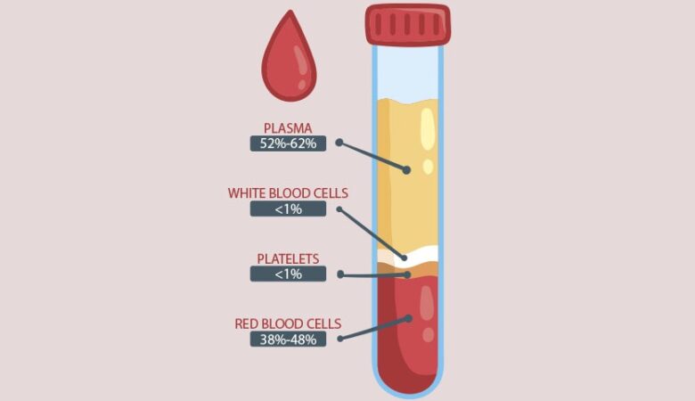 Blood platelets: their vital role and importance in treating diseases and surgeries