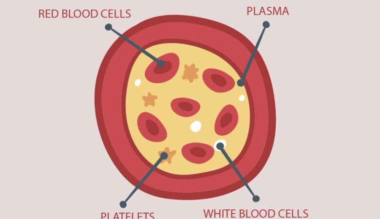 Advances in Blood Disorder Treatments: What’s New in Research and Modern Therapies?